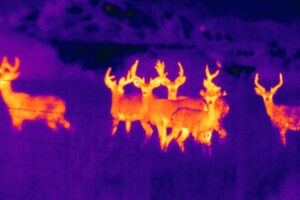 Night Vision and Thermal Imaging